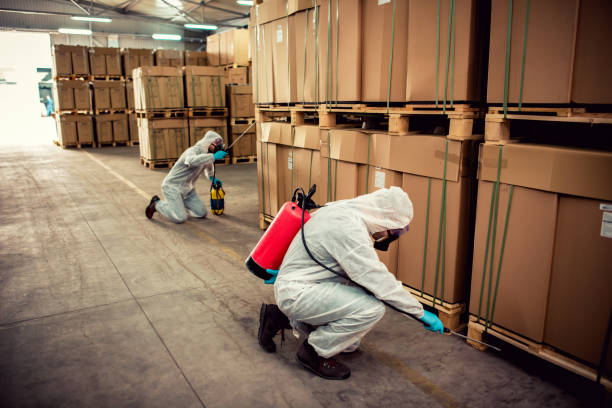 Best Pest Prevention Services  in Wade Hampton, SC