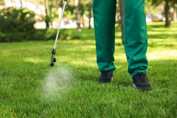 Best Wasp Removal Services  in Wade Hampton, SC