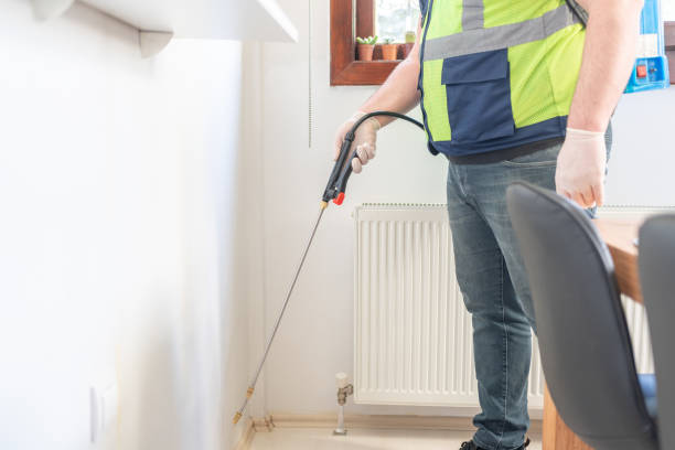 Best Best Pest Control Companies  in Wade Hampton, SC
