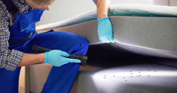 Best Flea Control Services  in Wade Hampton, SC