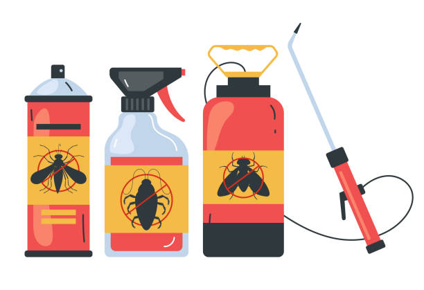 Best Local Pest Control Services  in Wade Hampton, SC