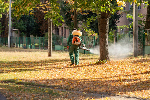 Best Pest Inspection Near Me  in Wade Hampton, SC