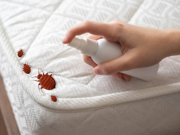 Best Pest Removal Services  in Wade Hampton, SC