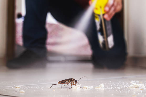 Best Best Pest Control Companies  in Wade Hampton, SC