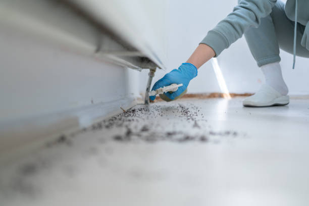Best Wildlife Control Services  in Wade Hampton, SC
